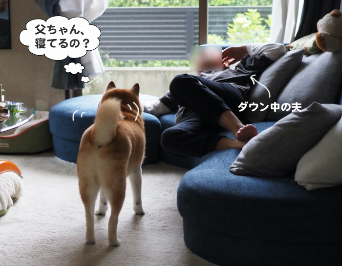 5日夕ブログ２