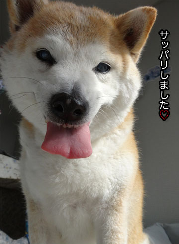 26日ブログ4.jpg