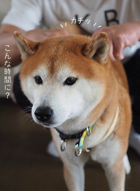 25日ブログ5