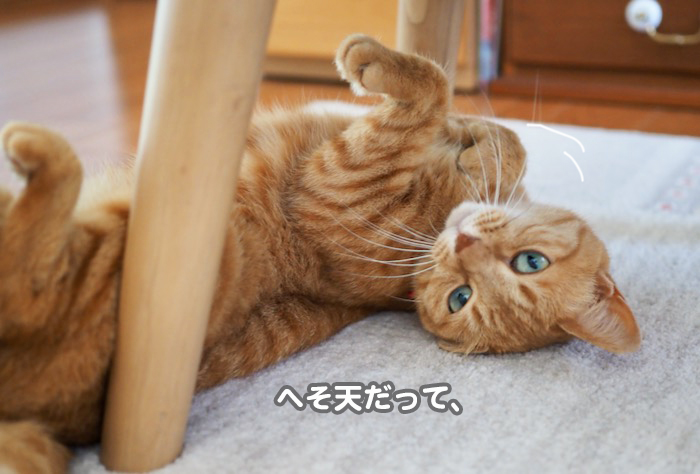 29日夕ブログ７