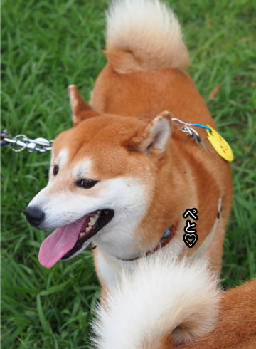 27日ブログ7.jpg