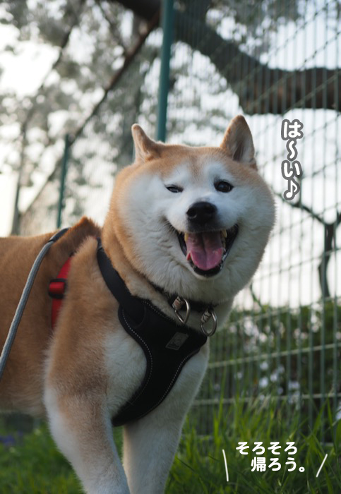 28日夕ブログ５
