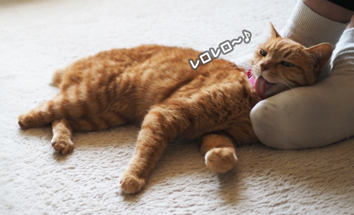 6日夕ブログ７