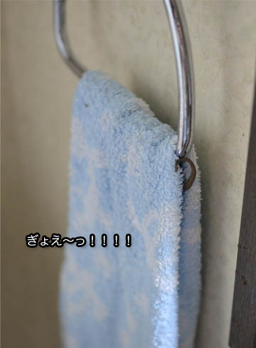 25日ブログ5.jpg