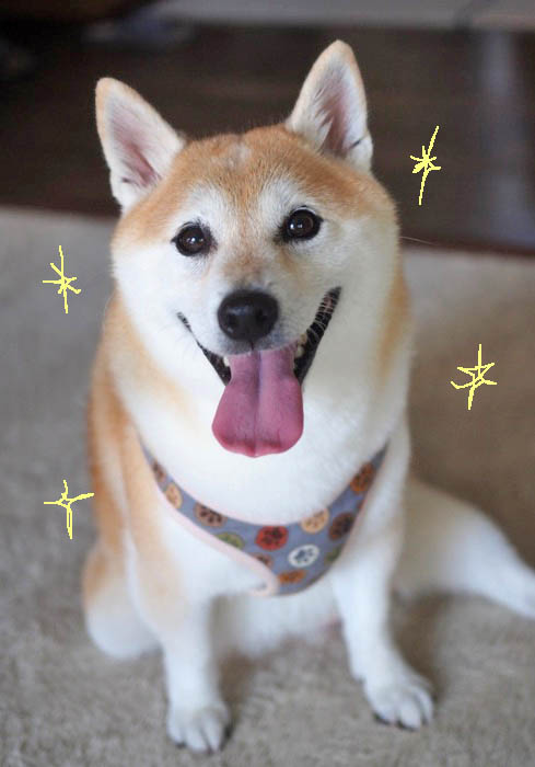 6日ブログ７
