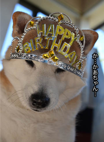 31日ブログ8.jpg