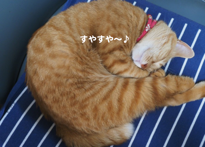 17日ブログ１