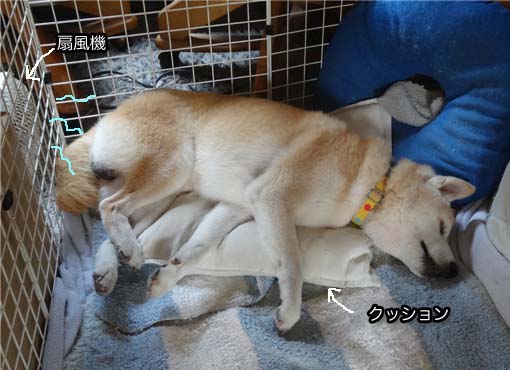 9日ブログ9.jpg