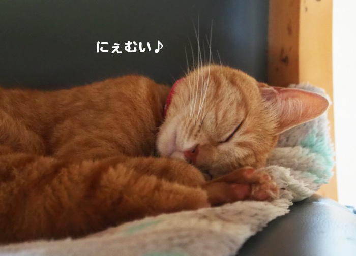 7日夕ブログ3