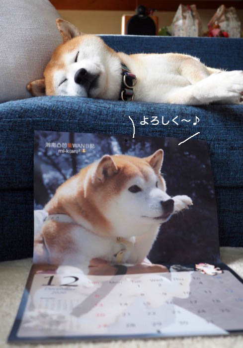 10日ブログ２