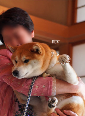29日ブログ14.jpg