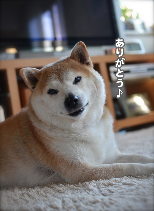 1日夕ブログ１１