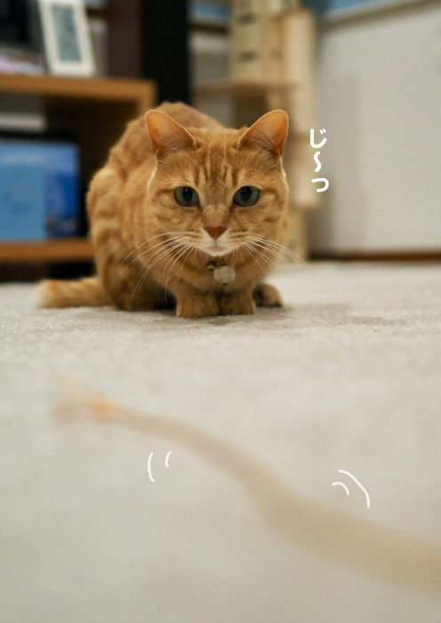 20日夕ブログ３