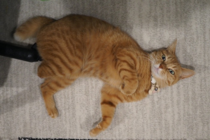 17日ブログ４