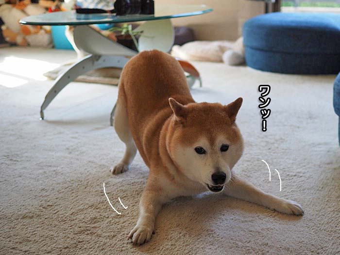 23日午前ブログ４
