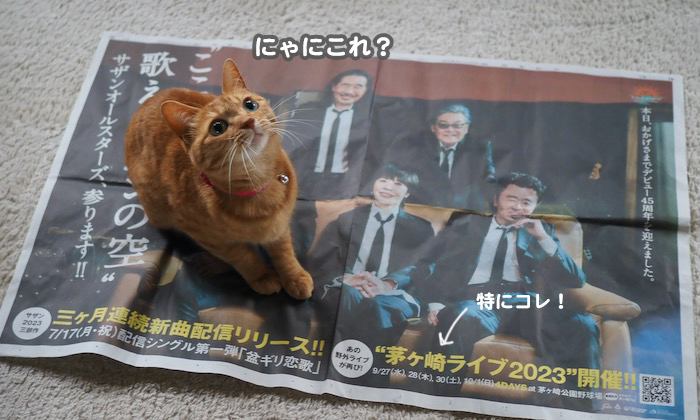 29日ブログ２