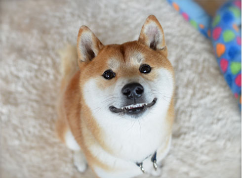 12日ブログ5.jpg
