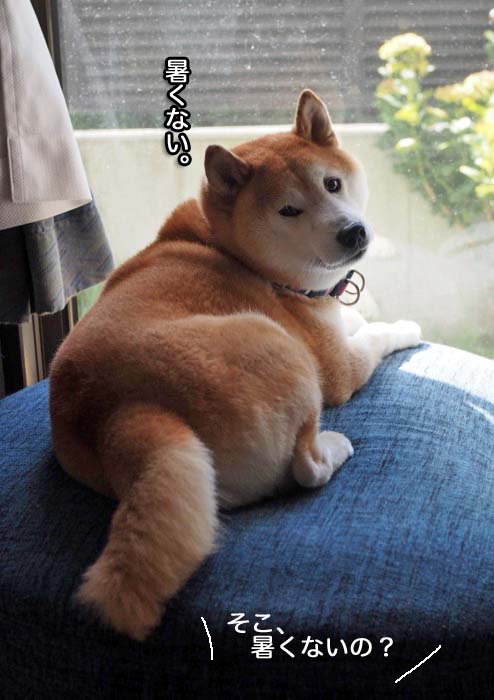 5日ブログ３