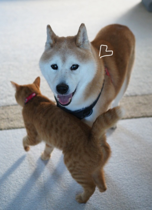 31日夕ブログ９