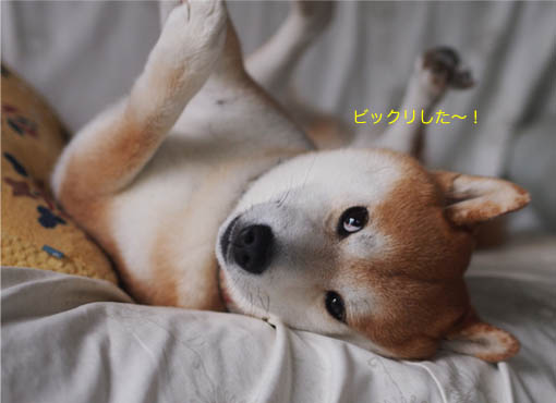 6日ブログ9.jpg