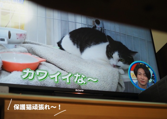 30日ブログ４