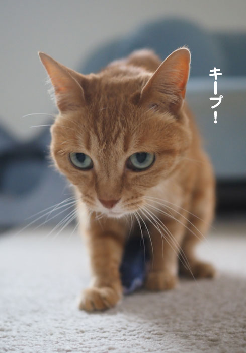 9日夕ブログ３