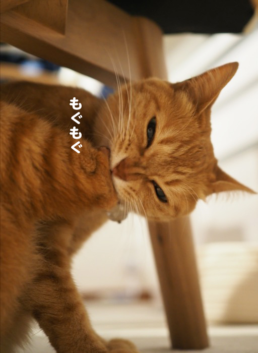 2日夕ブログ４