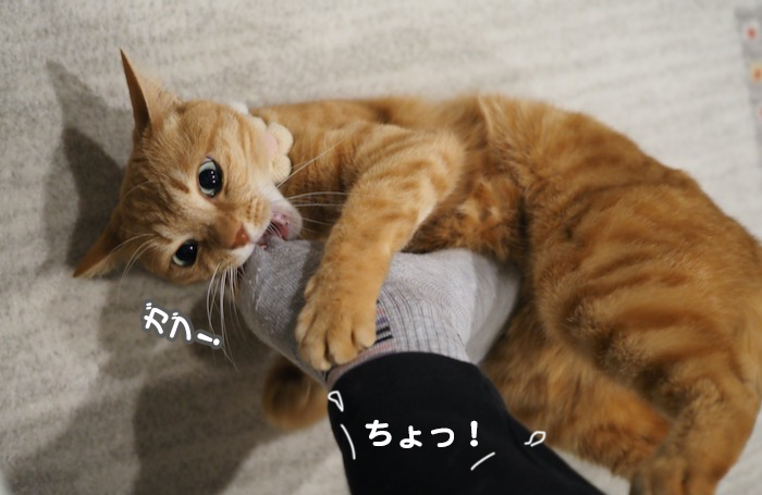 3日夕ブログ７