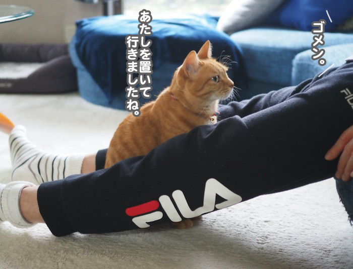 15日夕ブログ２