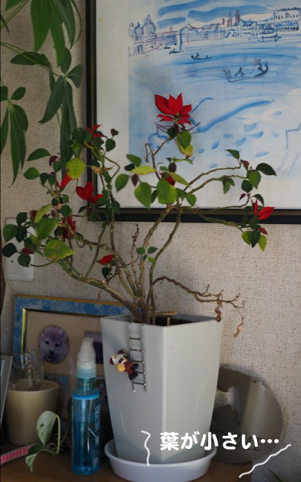 28日ブログ３