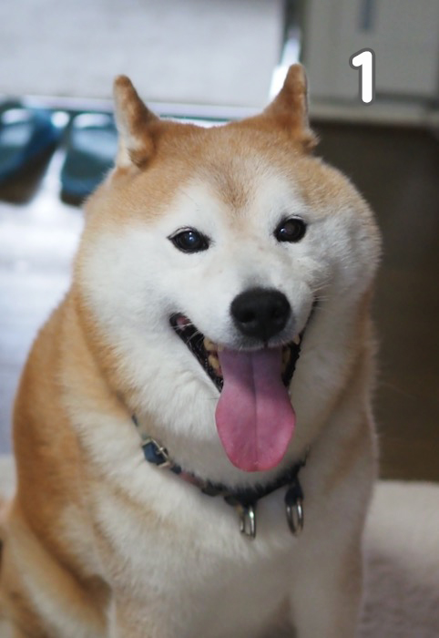 8日夕ブログ2