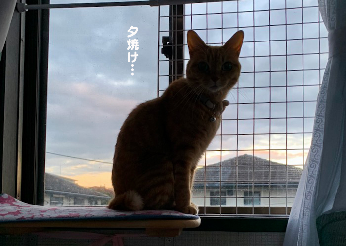 22日のブログ３