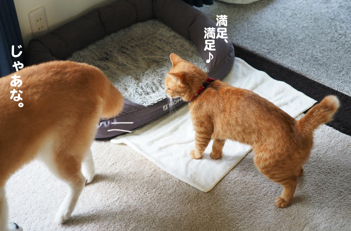 10日夕ブログ7