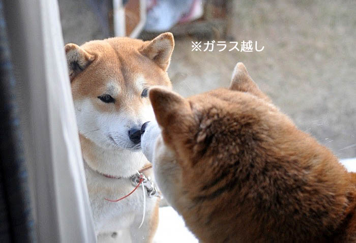 11日ブログ９