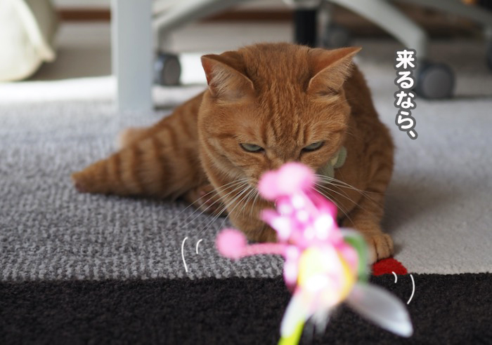 4日ブログ４