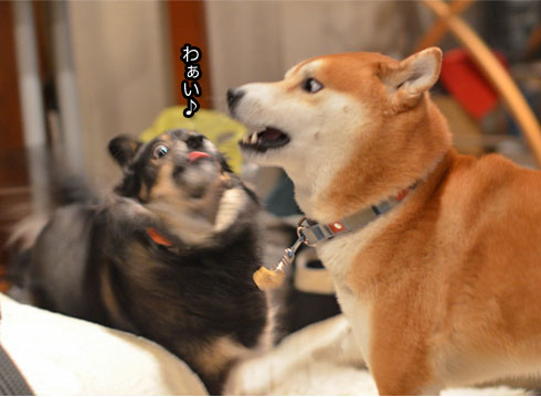 26日ブログ10.jpg