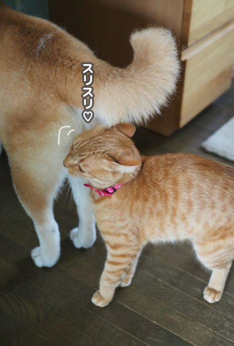 12日ブログ５