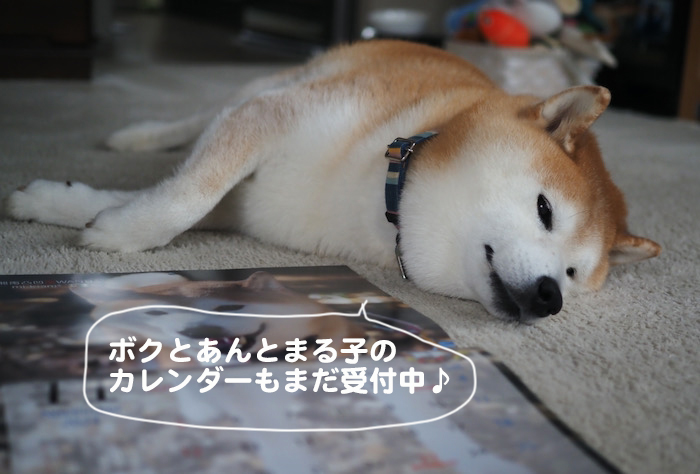 15日夕ブログ11