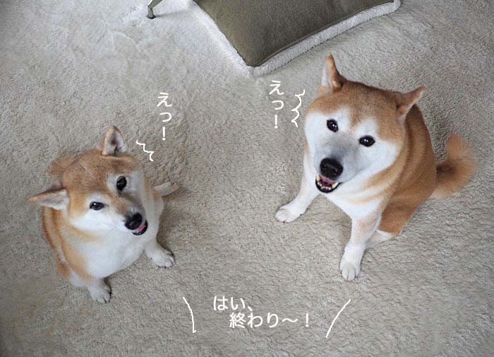 20日夜ブログ７