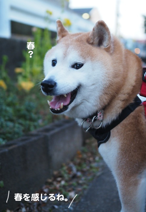 4日夕ブログ２