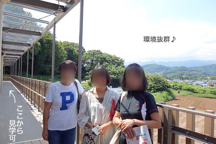 26日午後ブログ５