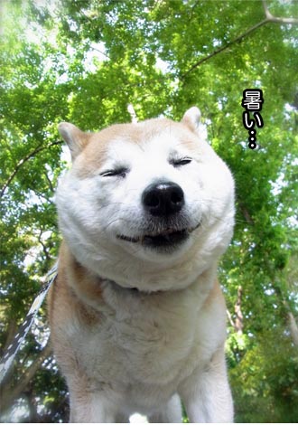 27日ブログ10.jpg