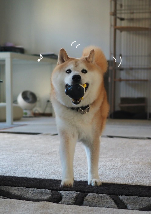 23日夕ブログ２