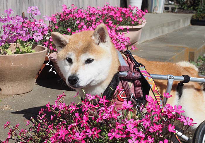 20日ブログ３