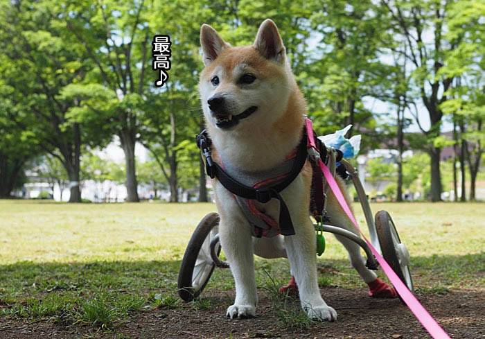 17日ブログ２