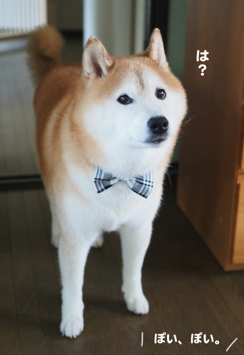 5日夕ブログ５