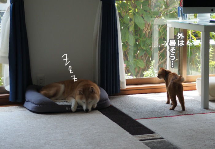 12日ブログ２