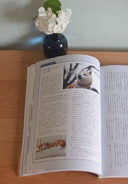 26日ブログ4