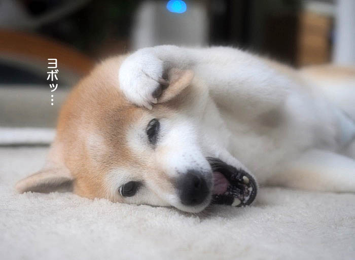 10日ブログ２