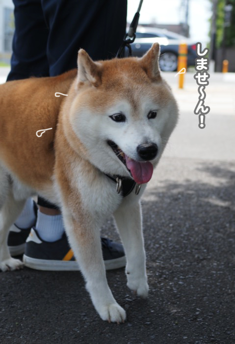 16日夕ブログ5